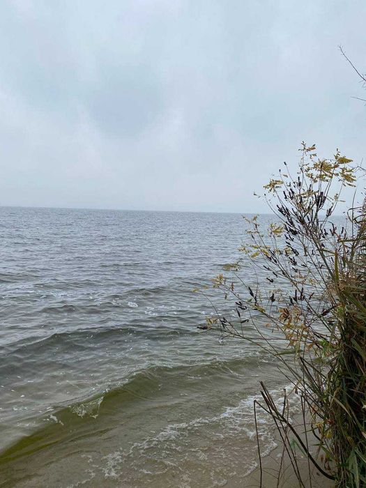 Земельна ділянка 9,25 га, Канівське водосховище (садівництво)