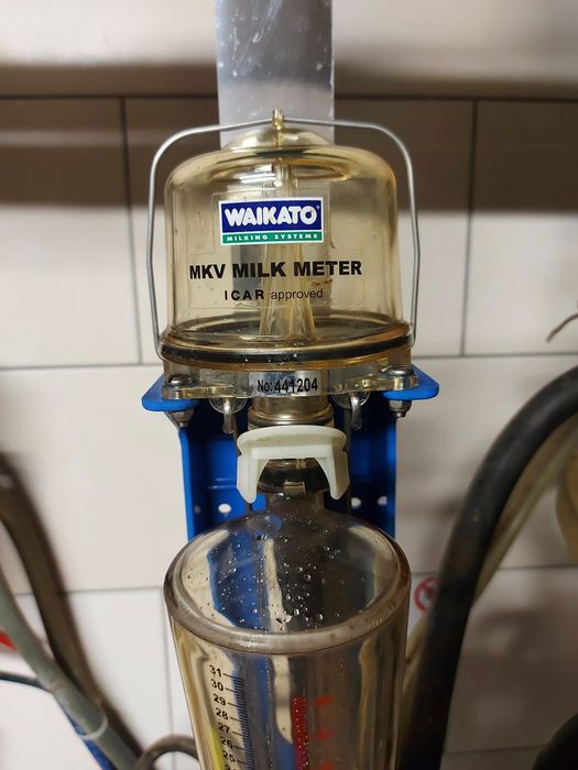 Miernik mleka WAIKATO