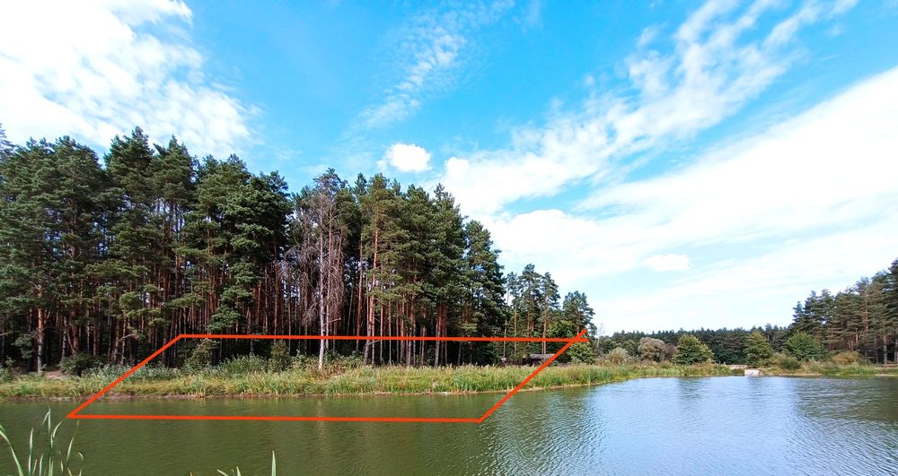 16,5 сот біля соснового лісу та водойми