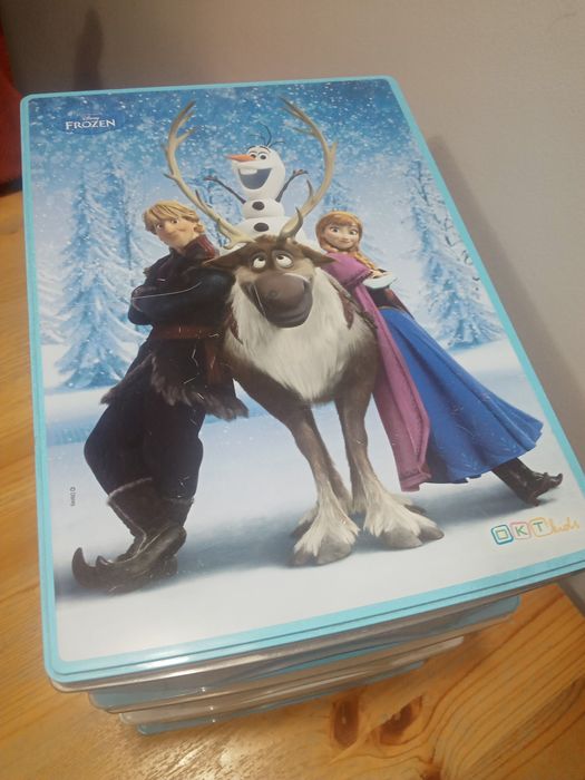 Pojemnik z szufladami frozen