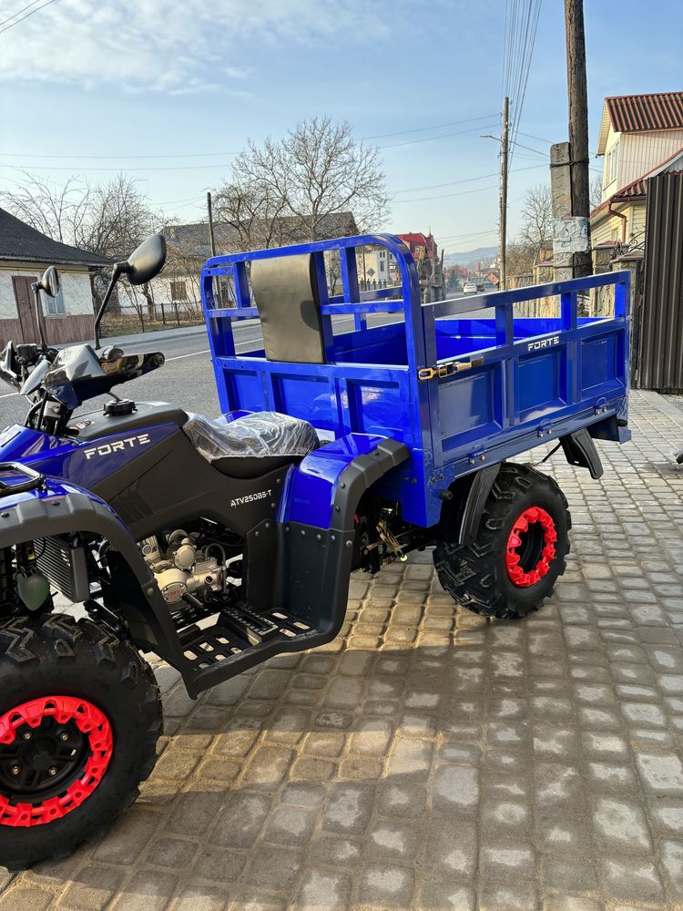 Квадроцикл Forte ATV250BS-T 250 куб