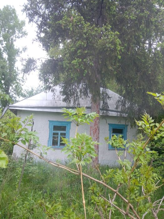 Продам хату дешово в с. Моринці