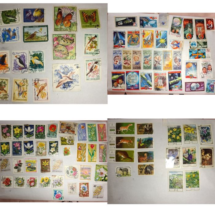 Марки ( автомобили, корабли, животные и т.д.)