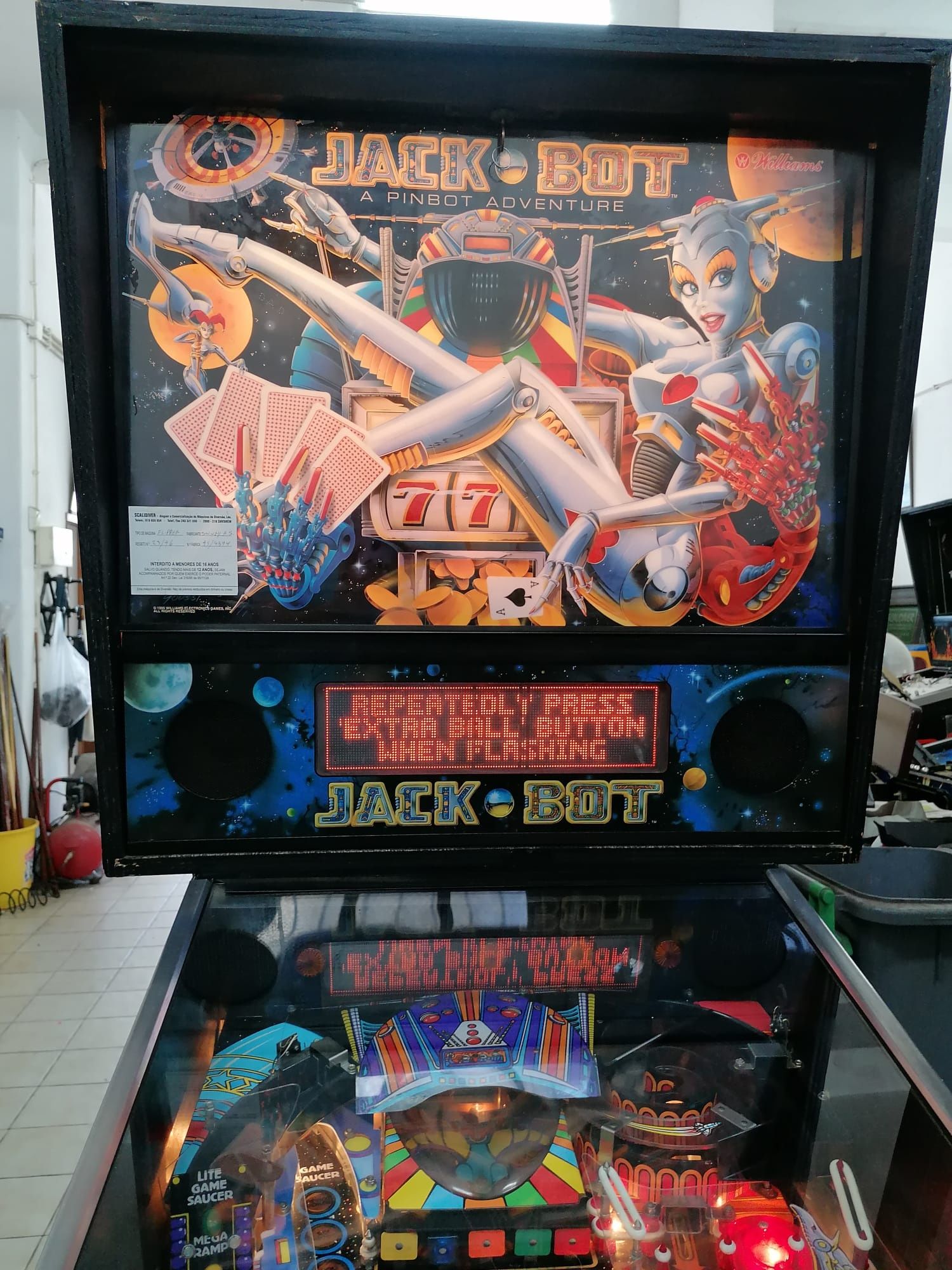 Flipper Williams Jack Bot