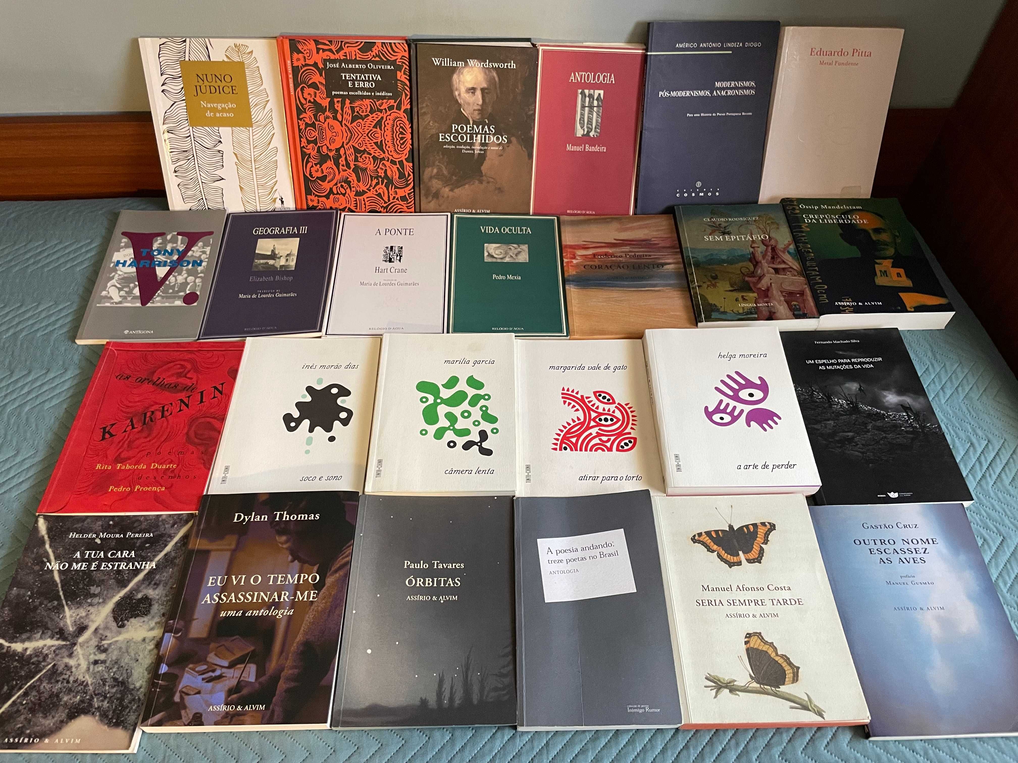 Lote de livros de (e sobre) poesia