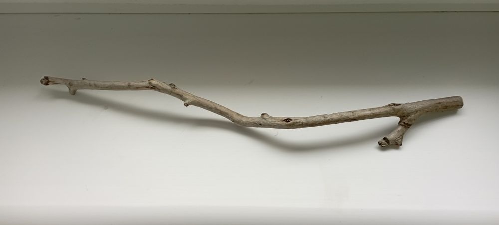 Волшебная палочка