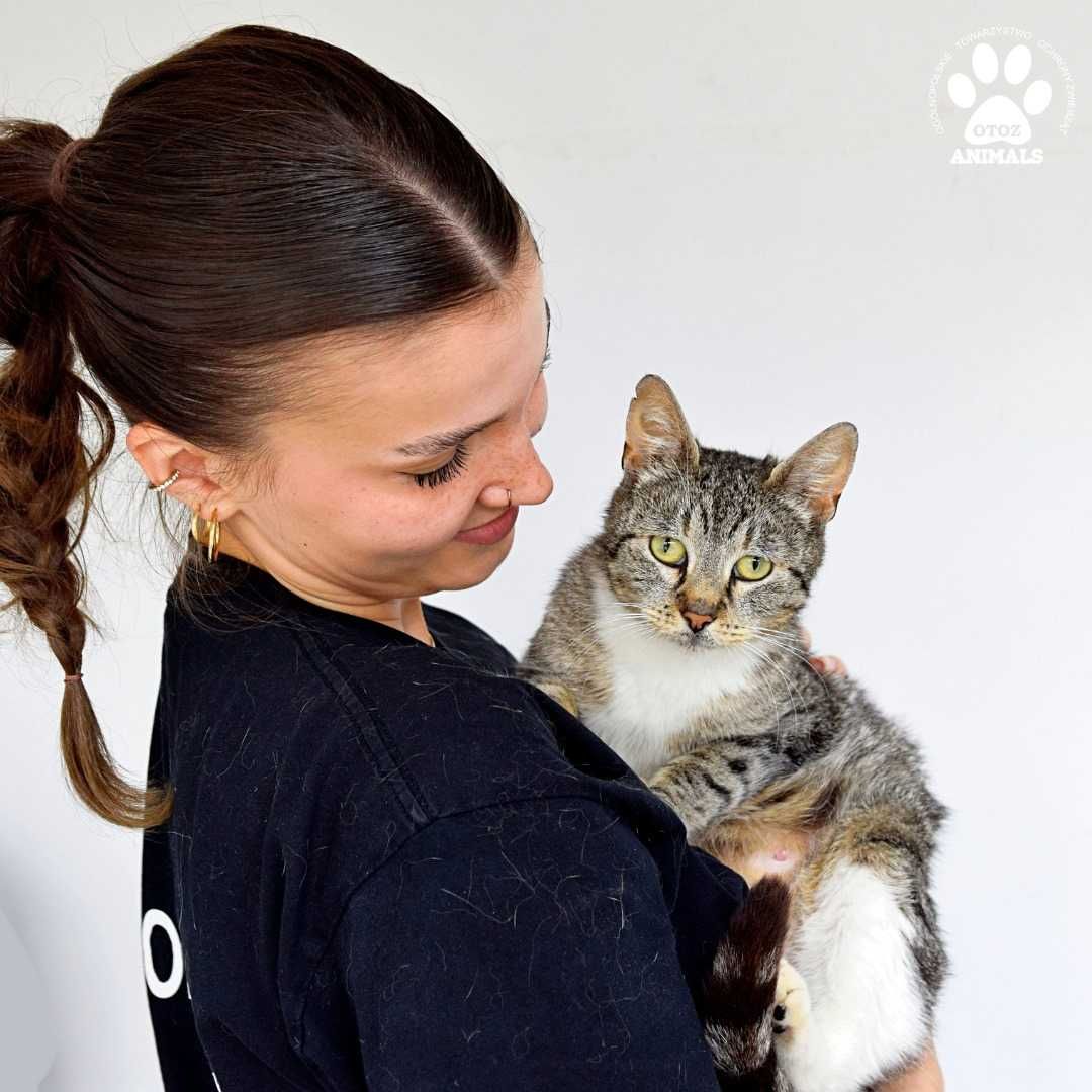 Śliczna kotka Kris poleca się do adopcji!