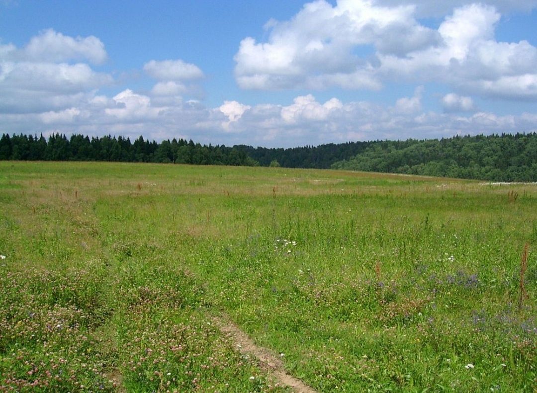 Земельна ділянка