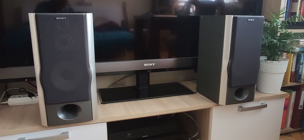 Glośniki Sony 60W