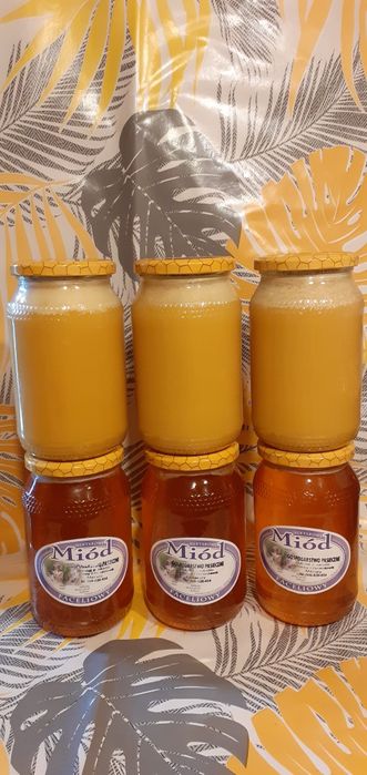 Miód Naturalny z Mazur hurt detal