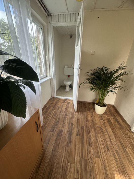 Działka z murowanym domem ROD Aster Łódź