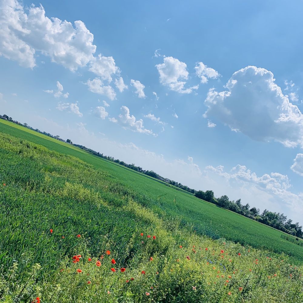 Sprzedam działkę budowlaną