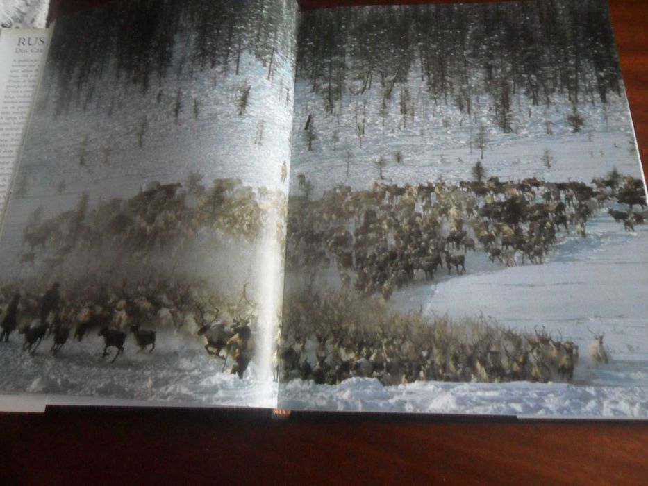 "Rússia: Dos Czares aos Sovietes" de Robin Milner Gulland e N Dejevsky