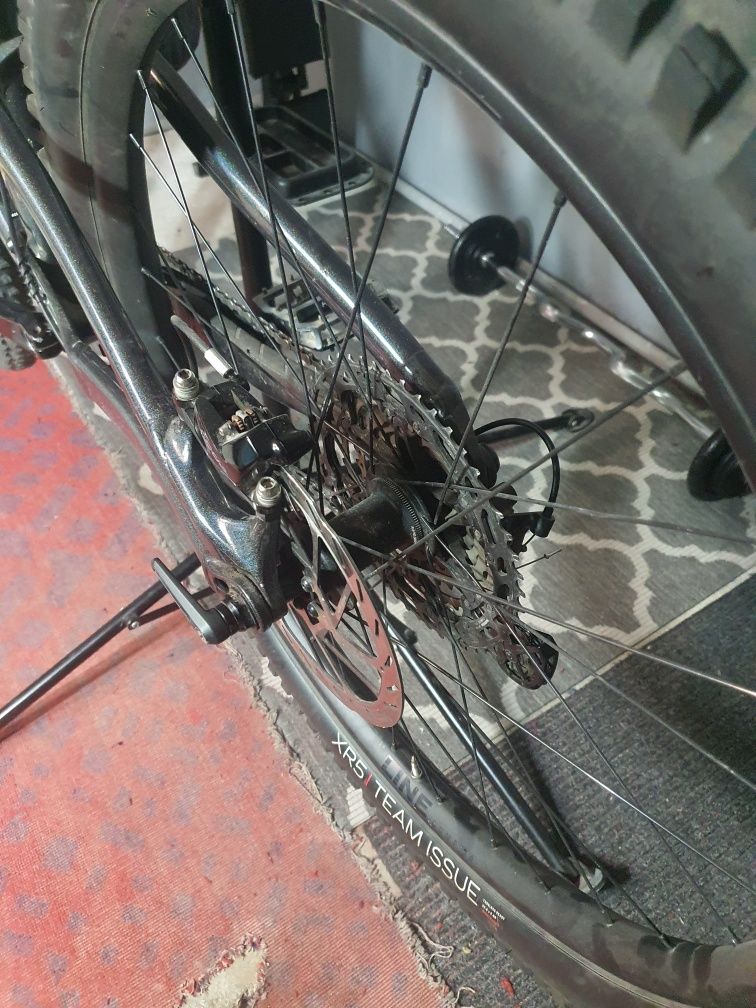 Trek remedy 8 2024