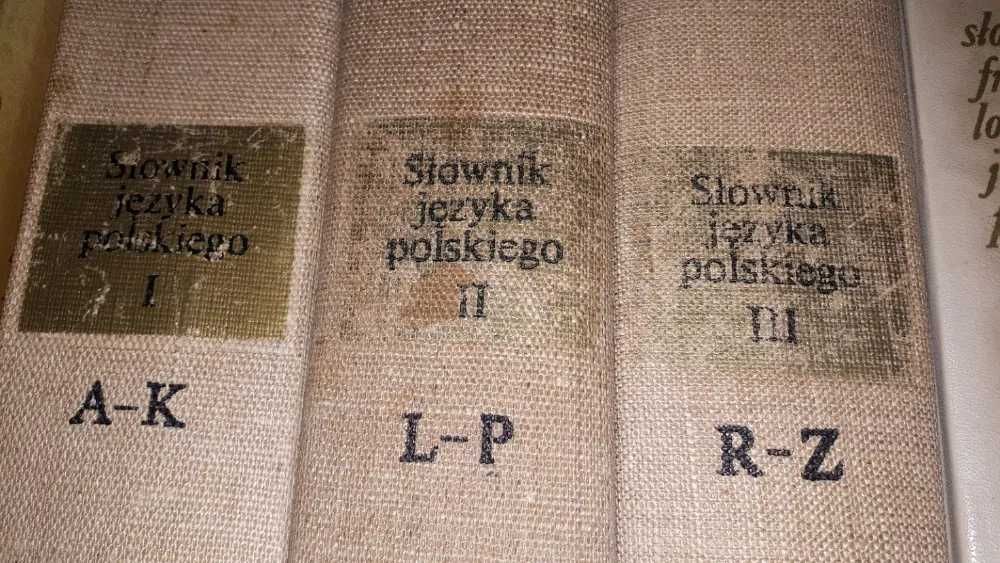 Słownik języka polskiego