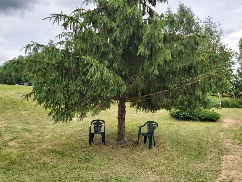 Wynajme domek pomost  jezioro  sauna bania goraca beczka MAZURY