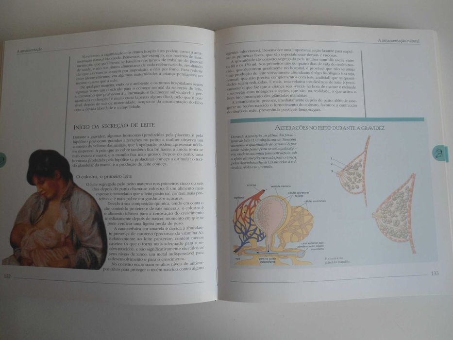 Atlas Ilustrado de Gravidez e Puericultura de Paolo Sarti e outro