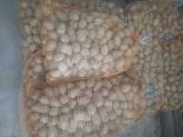 Ziemniaki paszowe/ odpadowe
