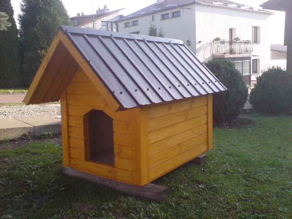 Buda dla psa srednia