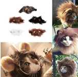 Juba de leão para gatos!