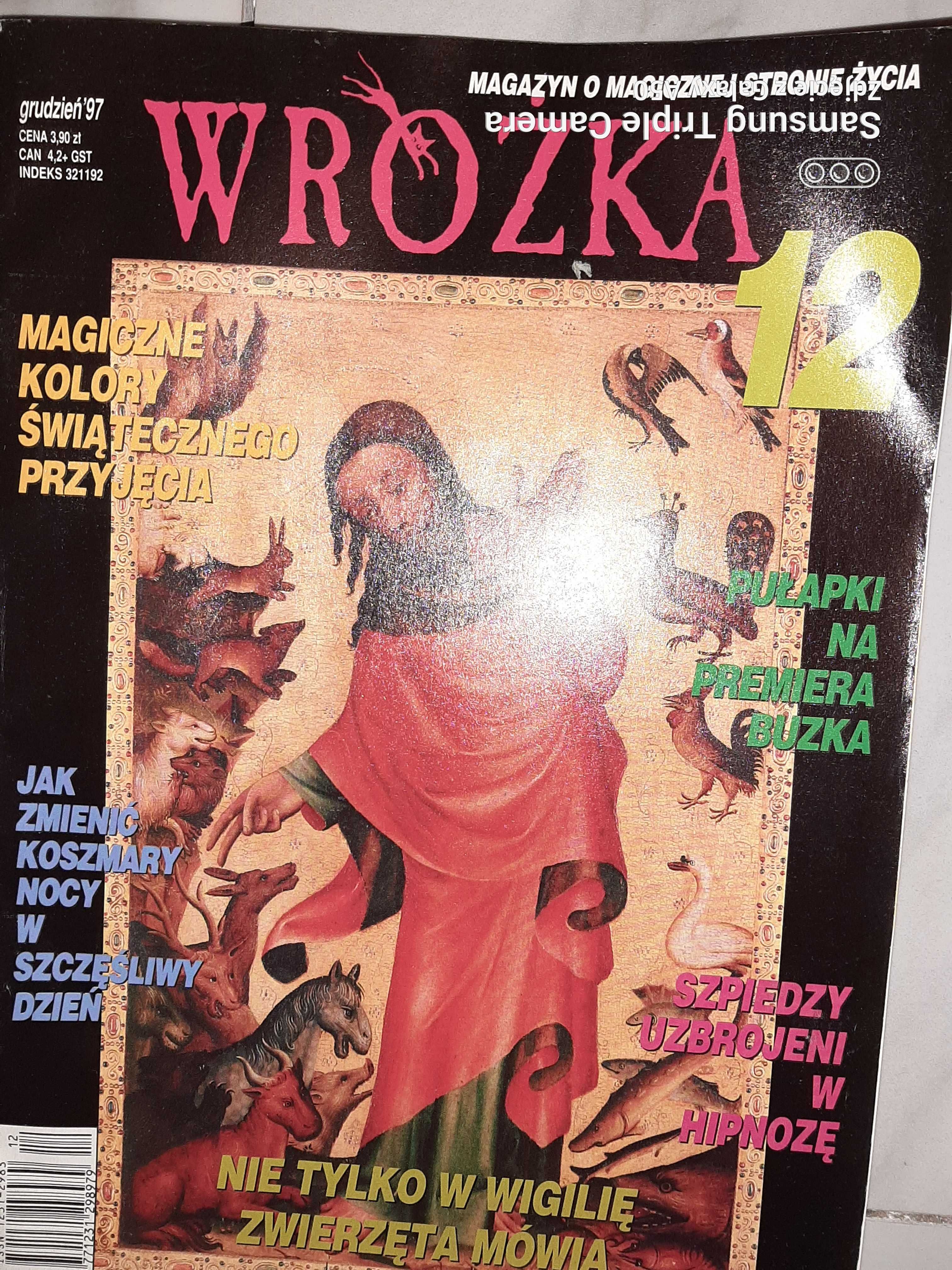 Wróżka Poradnik Uzdrawiacza Nie z Tej Ziemi wydawnictwa