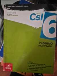 Caderno de fichas CSI 6 ano