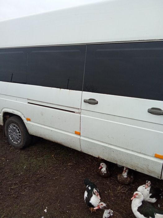 Автобусы iveco daily