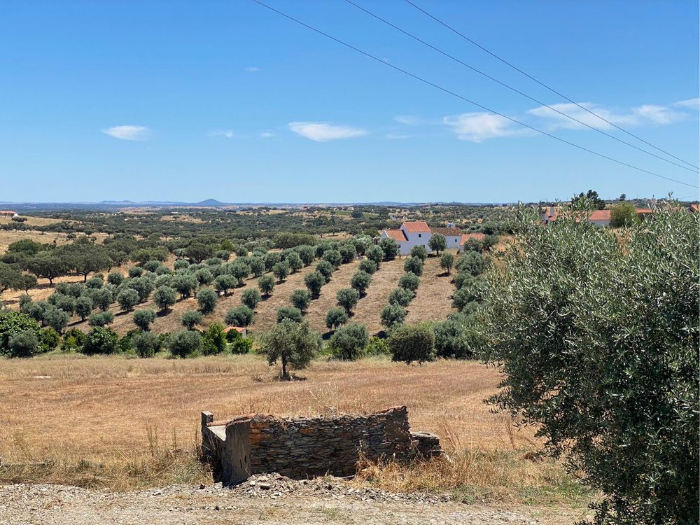 Terreno urbanizavel 1,75 ha
