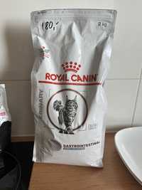 Royal canin gastrointestinal hypo hydrolized protein hypoalergenic