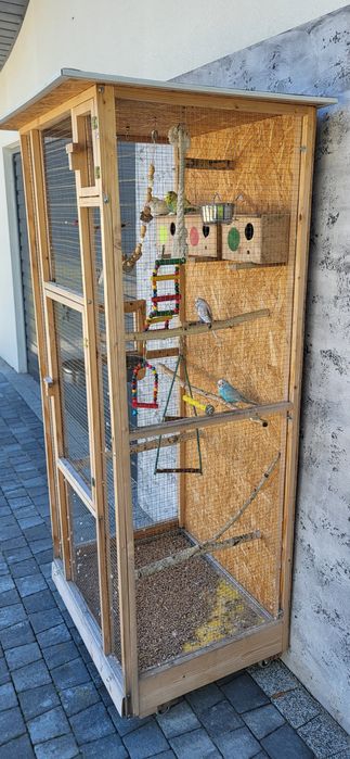 Woliera klatka + papugi faliste + wyposażenie