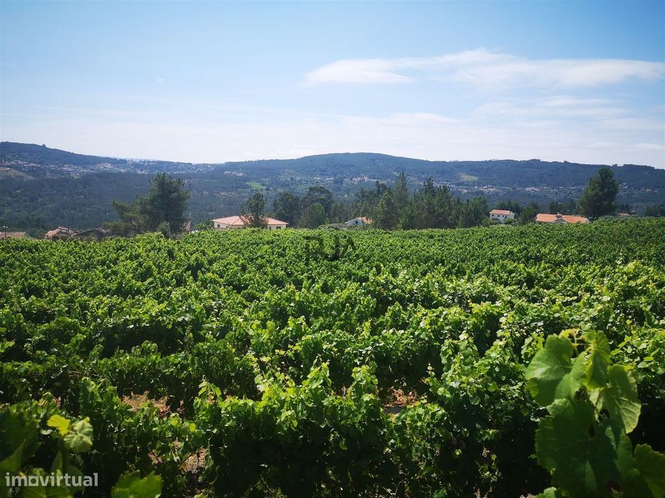 Quinta Agrícola em Campina, Penalva do Castelo