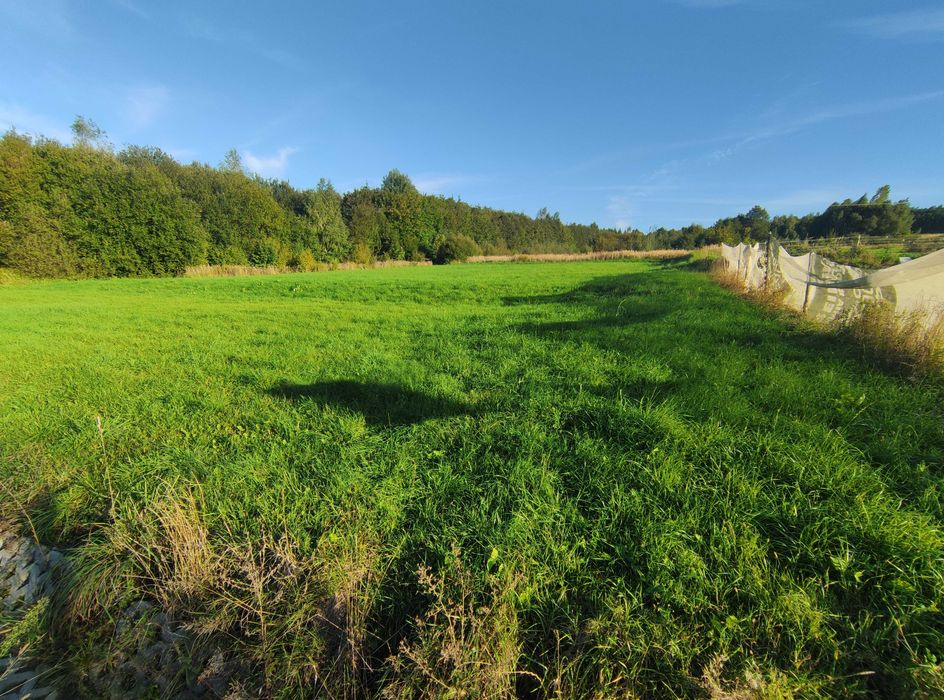 Działka rolno-budowlana 0,1747 ha  PRUCHNIK