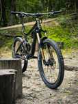 Rower - Giant Reign - L [DH, Enduro, Full, Fox, FR]