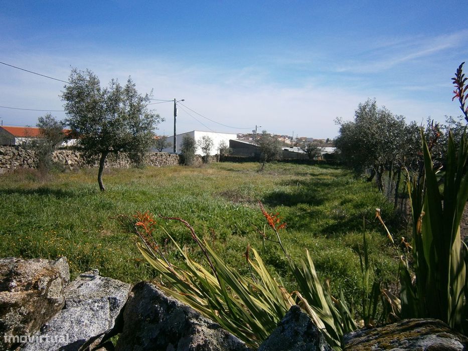 Terreno