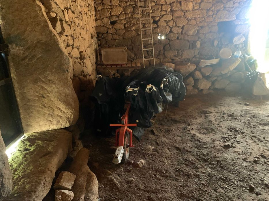 Rede professional para aceitona