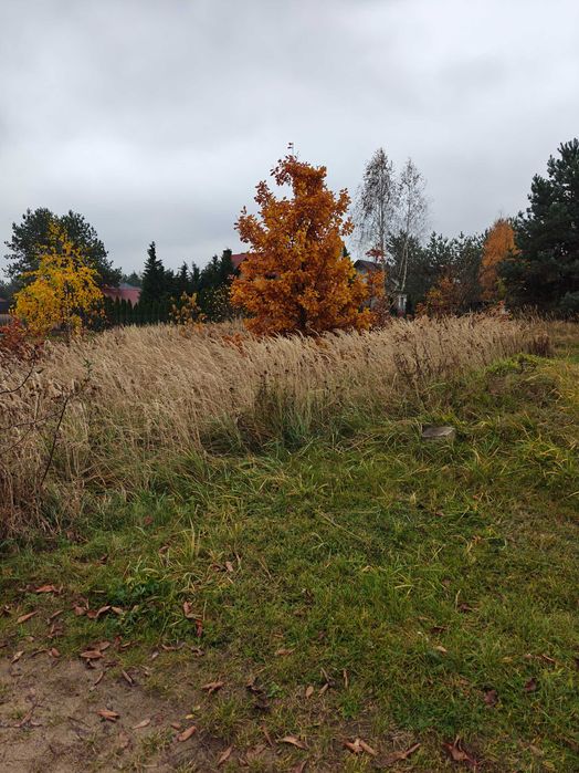 Działka budowlana Biała Podlaska osiedle Grzybowa