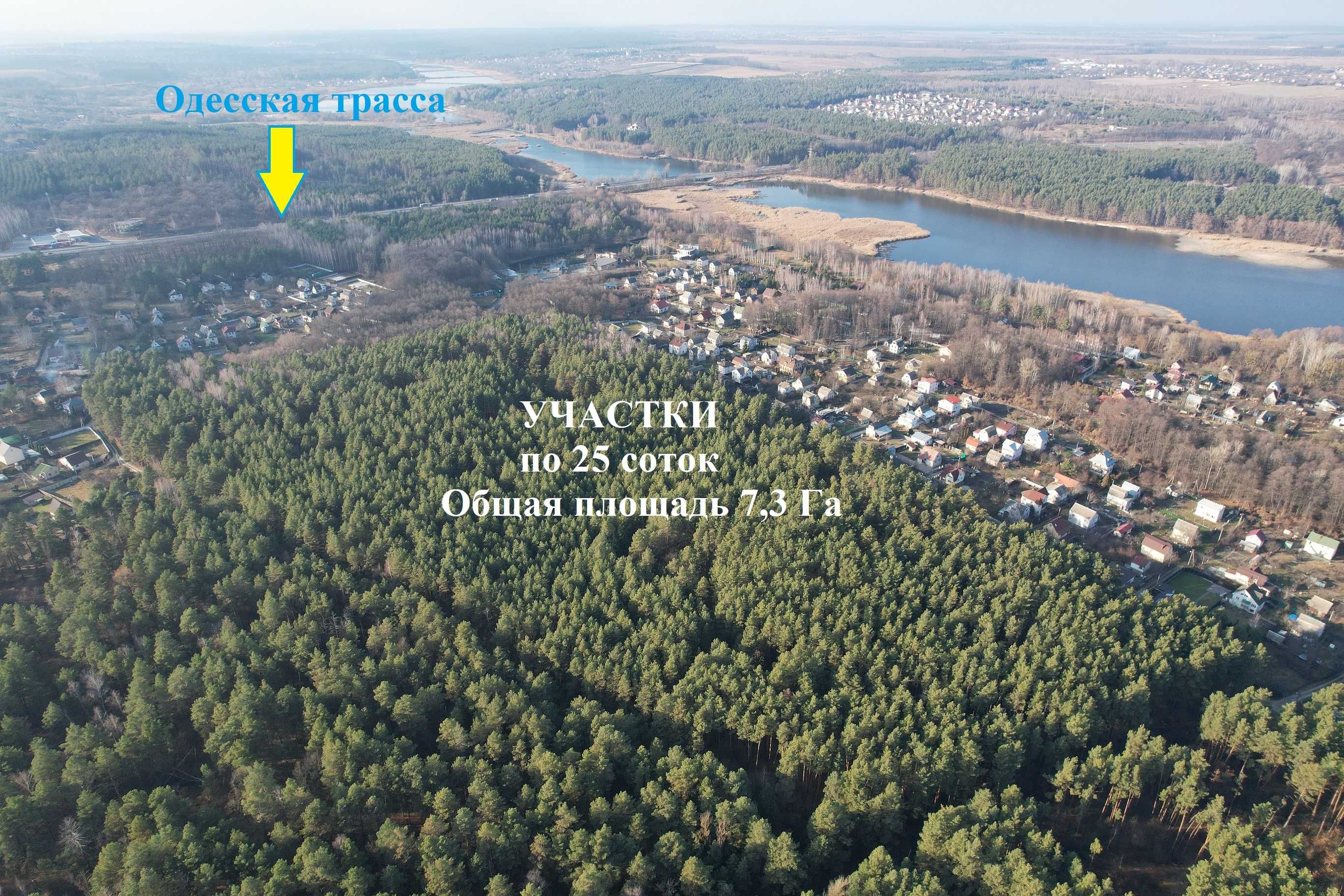 Солтанівка-Хлепча продаж ділянок  730 соток 30 км від Києва