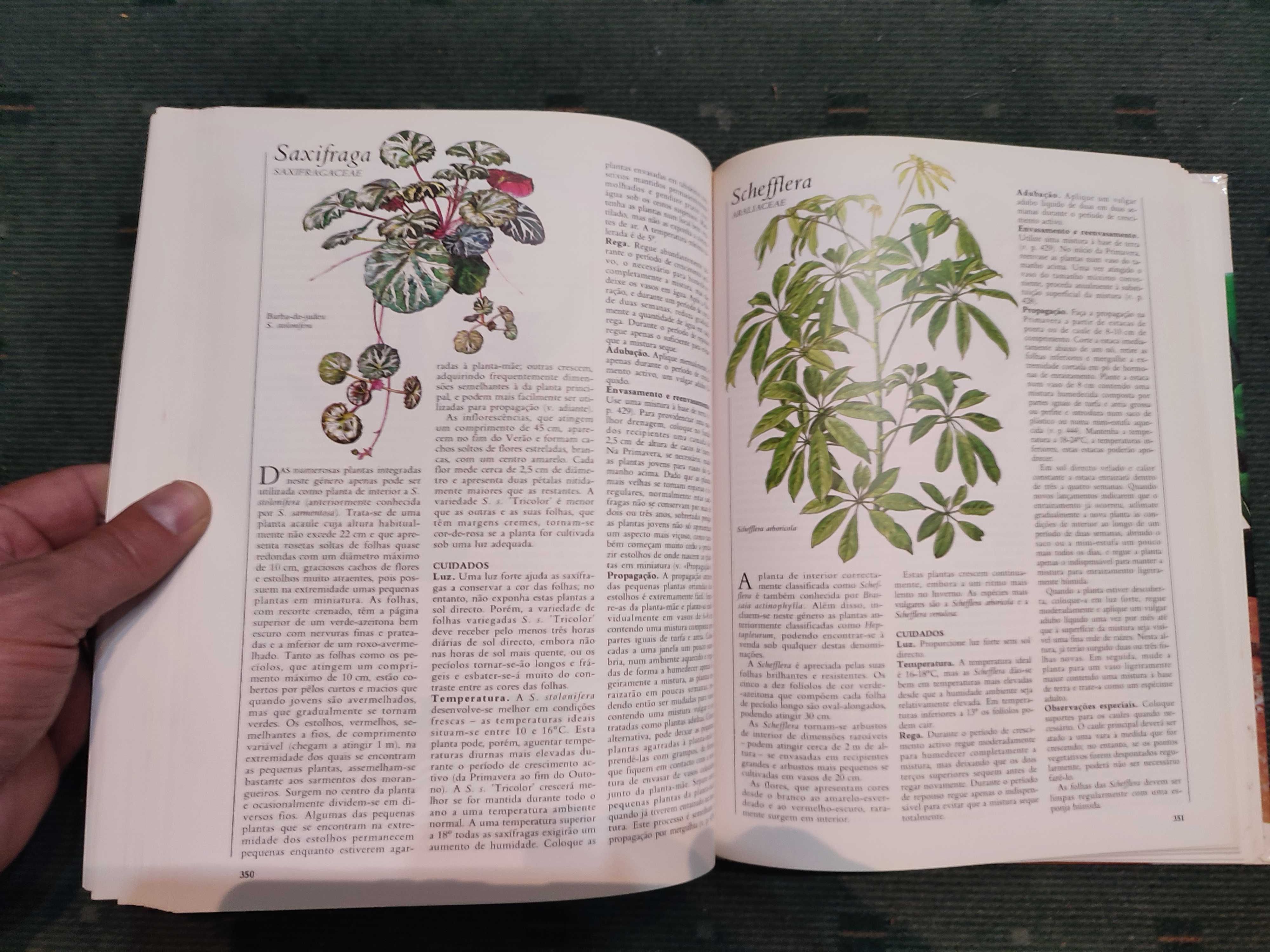 O Grande livro das Plantas de interior