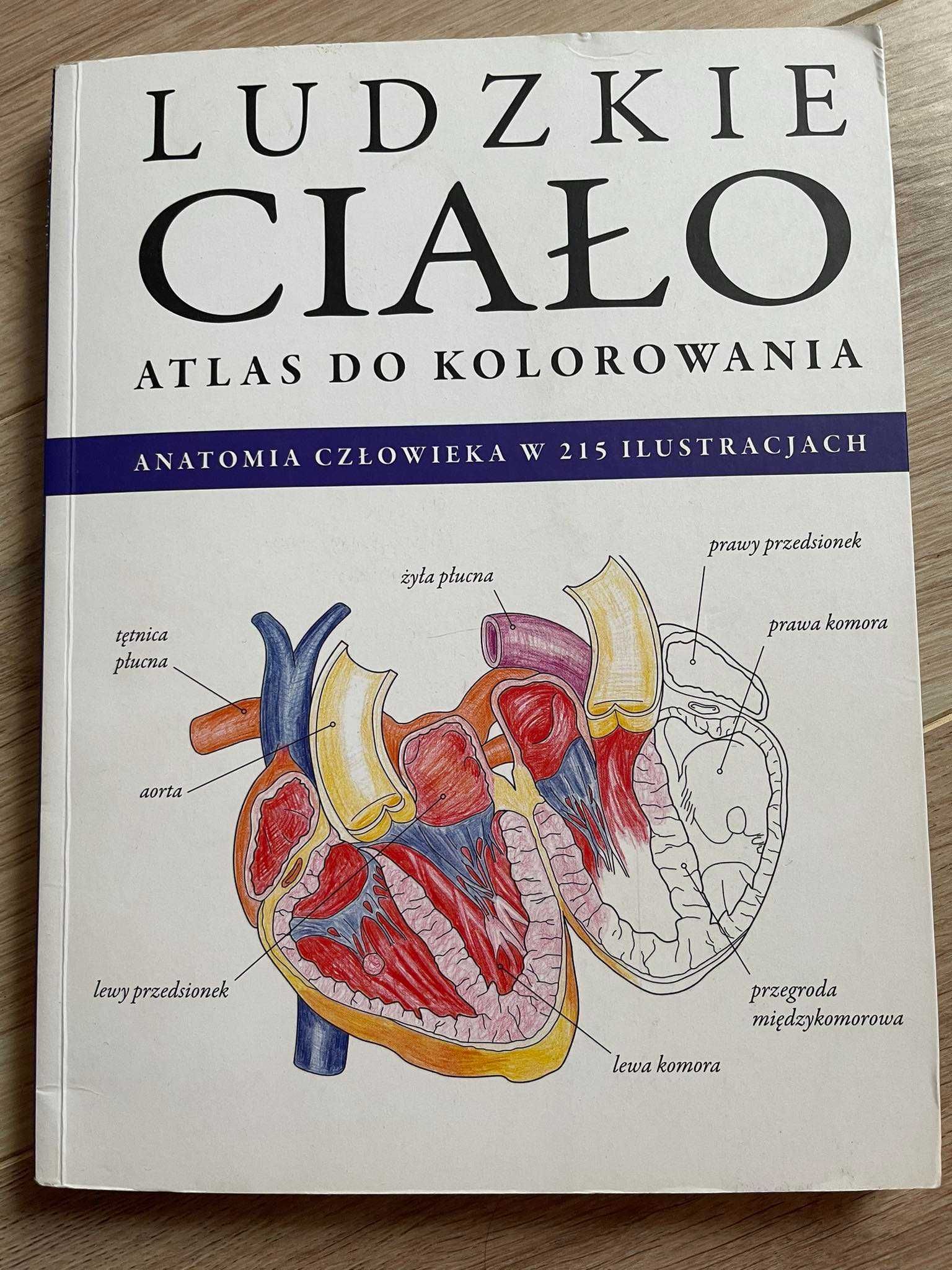 atlas do kolorowania