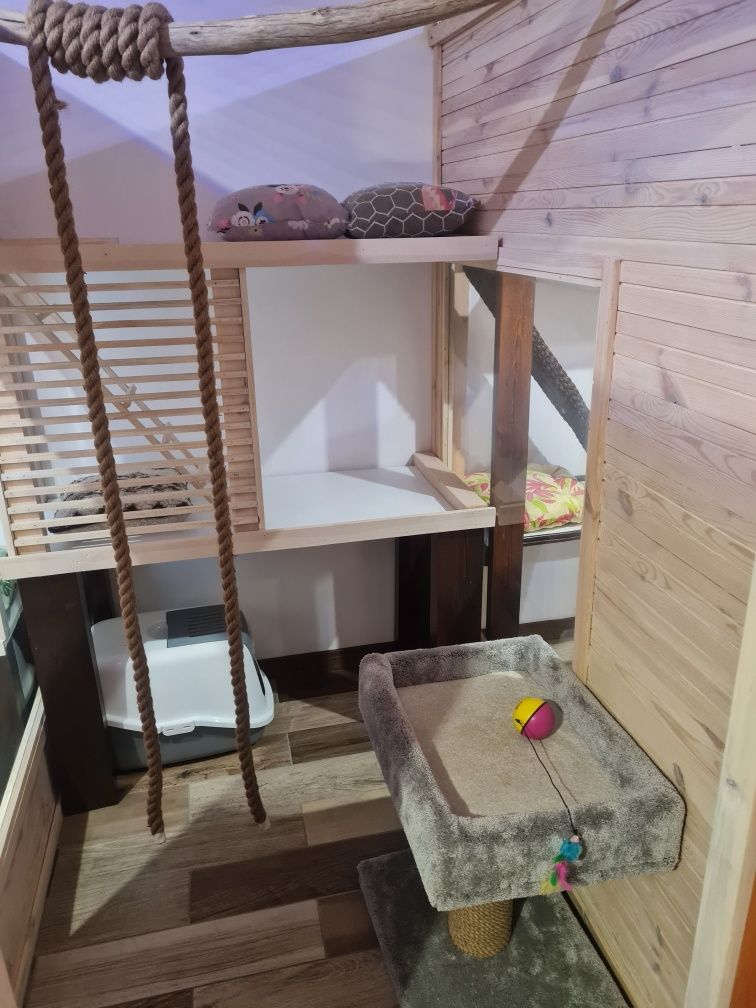 Hotel dla Kota powiat koniński