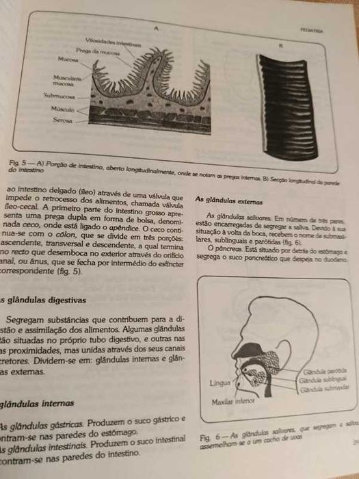 Puericultura, como prevenir e tratar doenças infantis