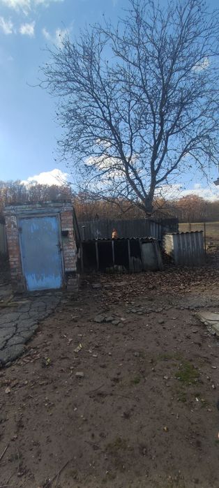 Будинок в селі Івашки Полтавського району.