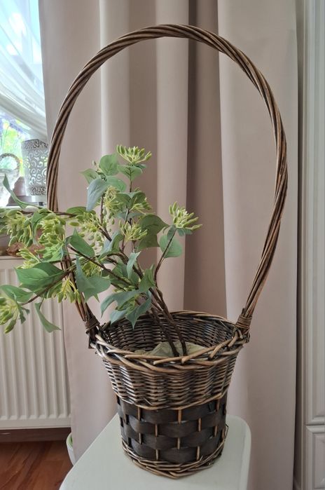Koszyk wiklinowy oliwkowo-złoty z  rośliną