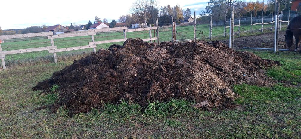 Nawóz koński zamienie lub sprzedam