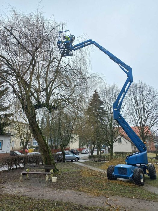 Mycie elewacji, wycinka drzew, usługi podnośnikiem koszowym 22m i 16m