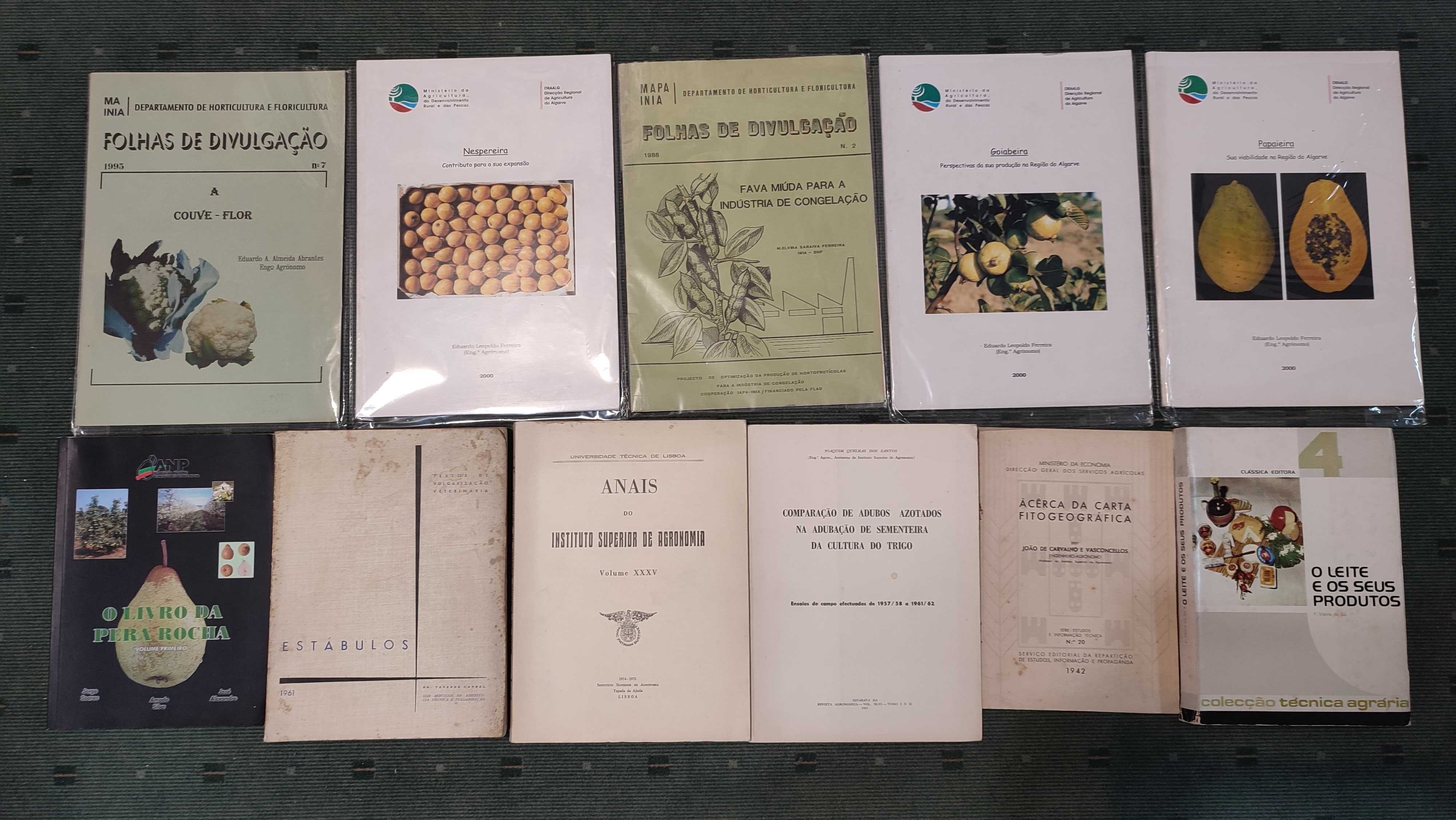 Lote livros Agricultura e Pecuária