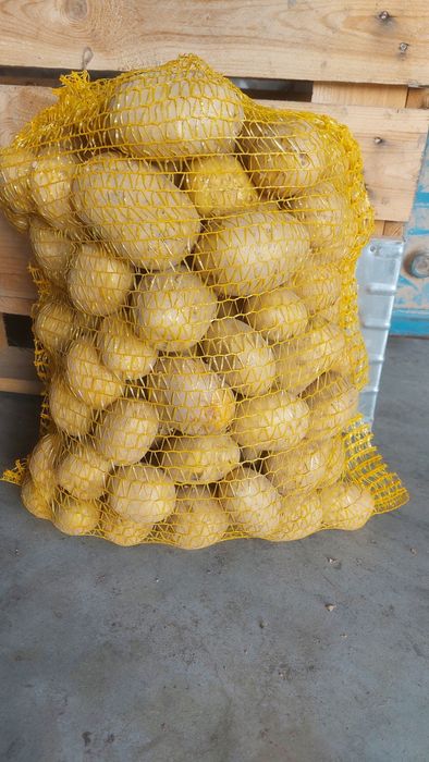 Ziemniaki jadalne Soraya Queen anne corinna bardzo smaczne