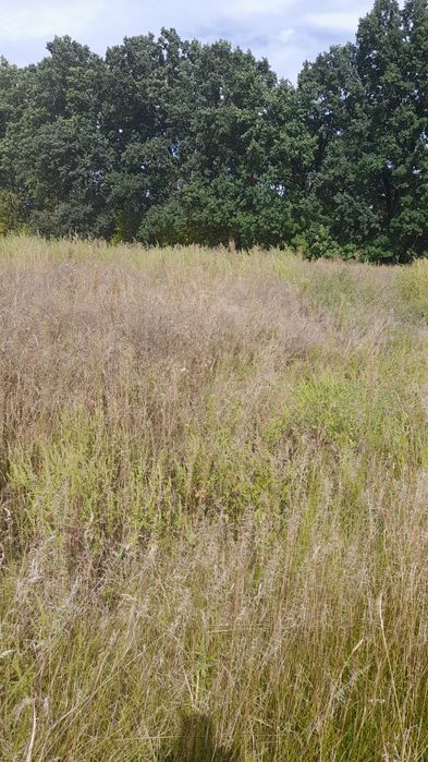 Продаж земельної ділянки у с.Трушки