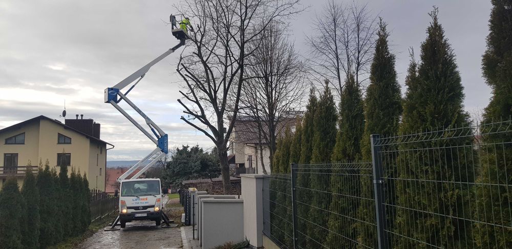 Wycinka drzew i krzewów, frezowanie pni, rębak, usługi ogrodnicze
