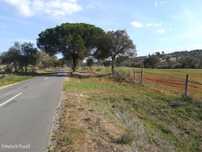 Herdade de 30 Hectares para Construção em Santiago do Cacém